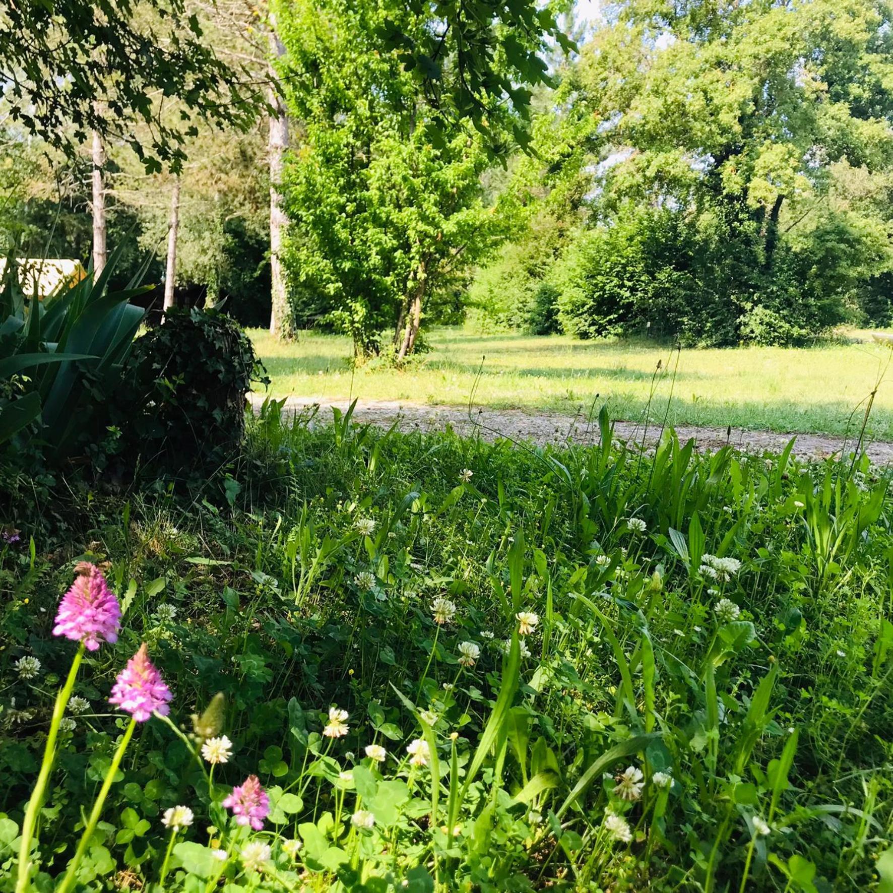 Camping La Vaugelette - Drome Montclar-sur-Gervanne Exteriér fotografie